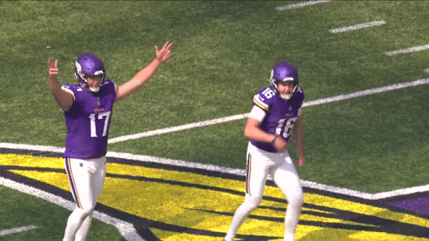 Skolvikings GIF by Minnesota Vikings
