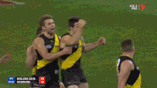 afl afl finals aussie rules australian football league GIF