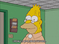 Season 17 Episode 10 GIF by The Simpsons