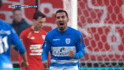 GIF by FOX Sports