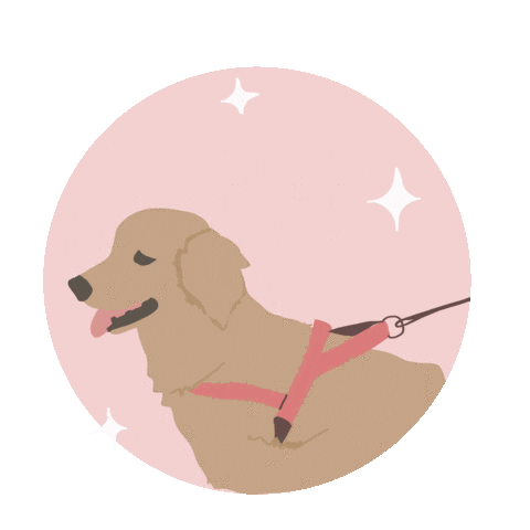 mollythreads dog dogs pup dog walking Sticker
