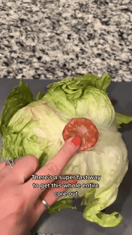 comment-economiser giphyupload GIF