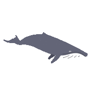 Summer Protect Sticker by parley