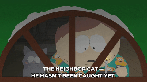eric cartman cat GIF by South Park 