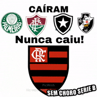 Fla Flu Maior Do Brasil GIF