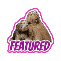 Doodle Easter Sticker by Milagency