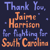 Election 2020 Fighting GIF by Creative Courage