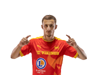lesvikingsdecaen handball proligue caenhandball lesvikingsdecaen Sticker