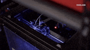 viceland GIF by Hustle