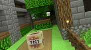 Tnt GIF