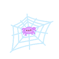 Spider Web Animation Sticker by Molang