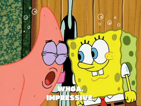 season 5 GIF by SpongeBob SquarePants
