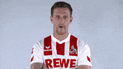 fckoeln football soccer ok bundesliga GIF