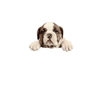 New Post Sticker by bulldogclub