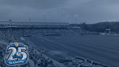 baseball strikeout GIF by West Michigan Whitecaps 