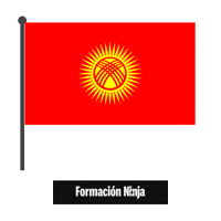 Flag Bandera Sticker by Formación Ninja