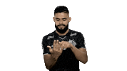 Santosfc Sticker by Santos Futebol Clube