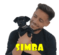 Simba Sticker by Alex Moreno