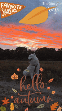 Red Cloud Summer GIF