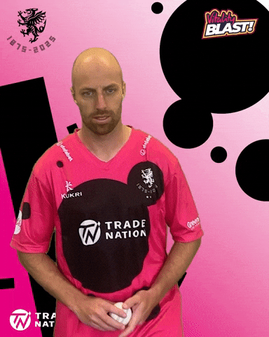 England Cricket GIF by Somerset County Cricket Club