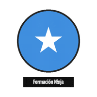 Flag Bandera Sticker by Formación Ninja