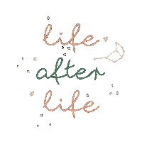Stars Pets Sticker by Pleia Life