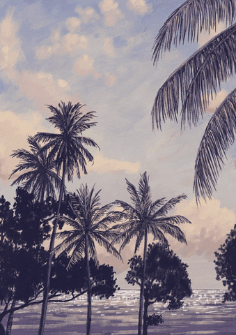 Palm Trees Travel GIF