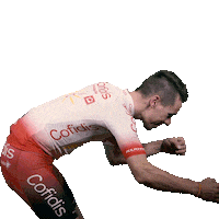 cofidis cycling Sticker by Team Cofidis - #CofidisMyTeam