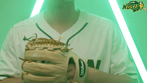 North Dakota State Bison GIF by NDSU Athletics