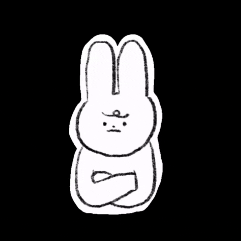 junnicat angry mad bunny annoyed GIF