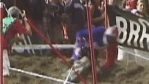 peatys giphygifmaker peaty peatys peatys products GIF