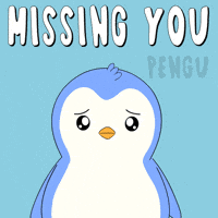 Sad Miss You GIF by Pudgy Penguins