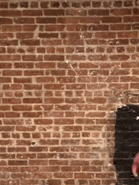 Will Tonight Show GIF