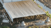 Free Range Chicken Farm GIF by Tap The Table
