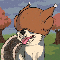 Thanks Giving GIF by Doge Pound