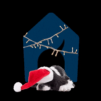 Bazoeki christmas puppy dogs kerst GIF