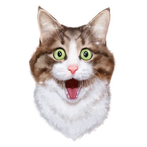 Rexiecat giphyupload cat cats kitty Sticker
