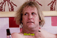 dumb and dumber GIF