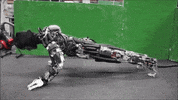 GIF by The Telegraph