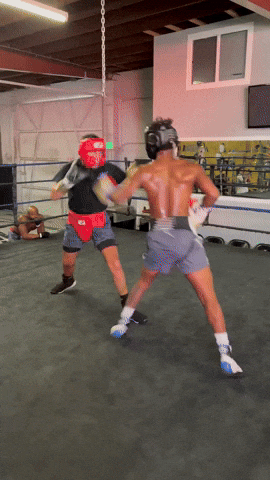 Boxing Sparring GIF by H2O Promotion