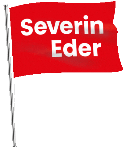SeverinEderSPD giphyupload rose politik spd Sticker