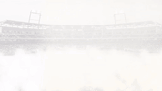 GIF by Creighton University Athletics