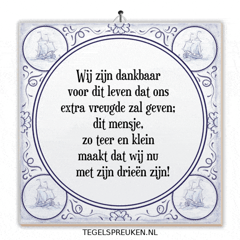 Nl Trots GIF by Tegelspreuken.nl