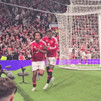 Happy On Fire GIF by Manchester United