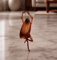 Cockroach GIF