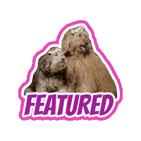 Doodle Easter Sticker by Milagency