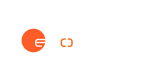 Evo Sticker by evomiles