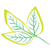 Naturofarma farmacia folha manipulacao naturofarma Sticker