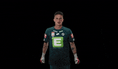 Sturmgraz GIF by SK Sturm