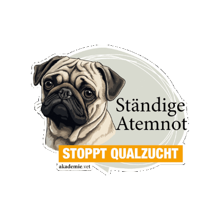 akademievet giphygifmaker Sticker